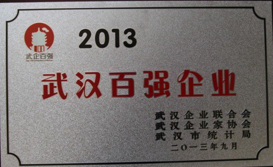 2013-武漢百強企業