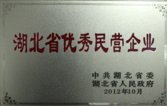 2012-湖北省優秀民營企業