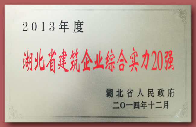 2013年度湖北省建筑業綜合實力20強獎牌