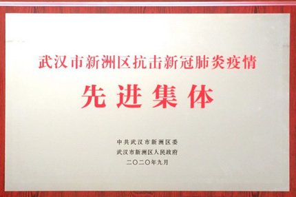 新八集團獲評“武漢市新洲區抗擊新冠肺炎疫情先進集體”榮譽稱號